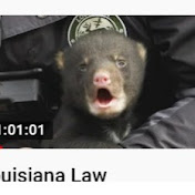 Profile Picture of Casey Black (@caseyblack8192) on Youtube