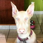 Profile Picture of Leonides Gonzalez (@gleonides) on Instagram