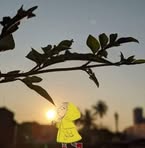 Profile Picture of Iris Gomez (@Iris-Gomez) on Facebook