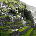 Jason Harand - Instagram Profile Picture of Jason Harand (@nanashi_1313) on Instagram