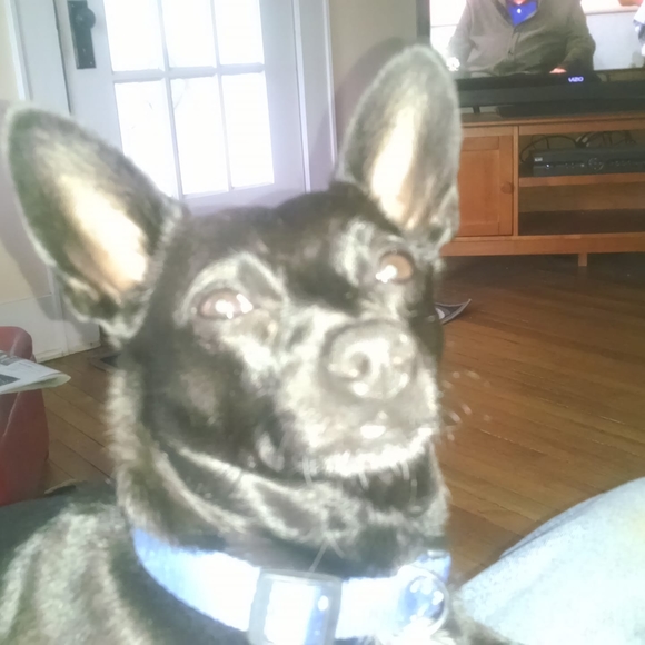 Profile Picture of Neil Finerty (@finertyn0802) on Poshmark