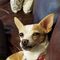 Profile Picture of Steven Cagle (@steven.cagle.71) on Facebook