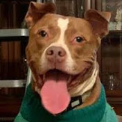 Profile Picture of Dawn Howe (@dawnhowe5672) on Youtube