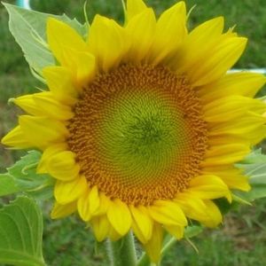 Profile Picture of Heather Garland (@heather_ajak) on Myspace