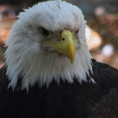 Profile Picture of Maureen Sanders (@maureensanders6) on Twitter