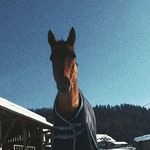 Profile Picture of Foidl (@_.foidl._) on Instagram