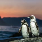 Profile Picture of Carl M. Mortensen (@Carl-M-Mortensen) on Facebook