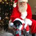 Profile Picture of Brian Sopko (@brian.sopko.395) on Facebook