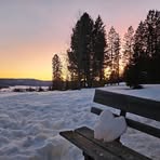 Profile Picture of Laurine Buffe (@laurine.buffe) on Facebook