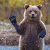 Profile Picture of Tony Tucci (@tonytucci301) on Youtube