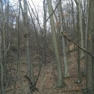 Profile Picture of Joel Krelic (@JoelKrelic) on Twitter