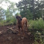 Profile Picture of Stephen Preston (@ssbpreston) on Instagram