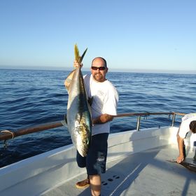 Profile Picture of Joe Laranjo (@joelaranjo) on Pinterest