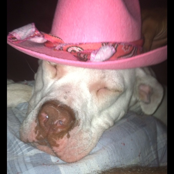 Profile Picture of Robin Lee (@miapepper) on Poshmark