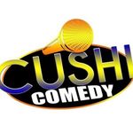 Profile Picture of Coryn Foster (@cushicomedy_live_) on Instagram