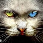 Profile Picture of Shawn神语呢喃 (@shawnshenyuninan) on Instagram