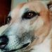 Profile Picture of Brian Ashcroft (@brian.ashcroft.773) on Facebook