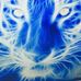 Profile Picture of Jacob Roop (@jacob.roop.188) on Facebook