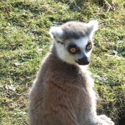 Profile Picture of George Barrow (@sqbdu10) on Twitter