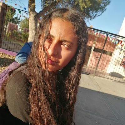 🇲🇽Fernanda🇲🇽 - Twitter Profile Picture of 🇲🇽Fernanda🇲🇽 (@AnelSanchezD) on Twitter