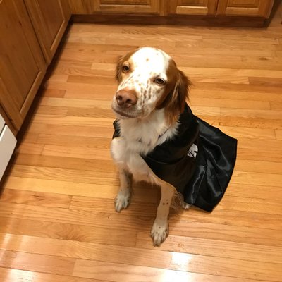 Profile Picture of Staci Wright (@greaci13) on Twitter