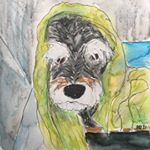 Profile Picture of Deborah Reilly (@amorkusdog) on Instagram