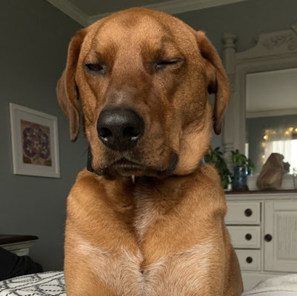 Profile Picture of Sadie Stopke (@sadiestopke) on Poshmark