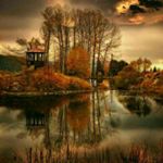 pvpv - Instagram Profile Picture of pvpv (@davidiraniii) on Instagram