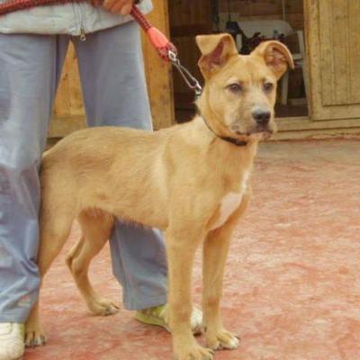 Profile Picture of Neil Ramroop (@Neil7106) on Twitter