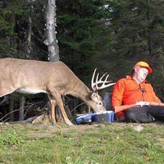 Mark  Lokshin - Facebook Profile Picture of Mark  Lokshin (@Mark-Lokshin) on Facebook