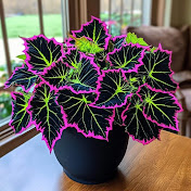 Profile Picture of Chris Proctor (@ChrisProctor-r4f9d) on Youtube