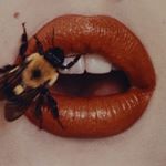 Profile Photo of Sarah Browne 🐝 (@sarbrowne) on Instagram