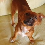 Profile Picture of isilda simoes (@isilda385) on Instagram