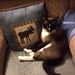 Profile Picture of Kathy Fletcher (@kathyfletcher34) on Pinterest