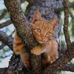 Profile Picture of Paula Wetzel (@wetzel.paula) on Instagram