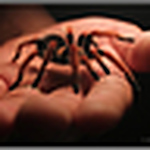 Profile Picture of Elias Cruz (@victor e.c. duncker) on Flickr