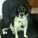 Profile Picture of Dawn Helms (@dawnchelms) on Pinterest