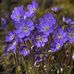 Profile Picture of Thelma Rector (@thelma.rector.1485) on Facebook