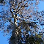 Profile Picture of Elizabeth Drusilla (@Elizabeth-Drusilla) on Facebook