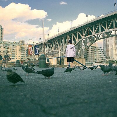 Lily Xie - Twitter Profile Picture of Lily Xie (@lilyxie5) on Twitter