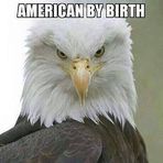 Profile Picture of Jeffrey Leftwich (@Jeffrey-Leftwich) on Facebook