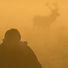 Profile Picture of Graham davis (@grahamdavis88) on Flickr