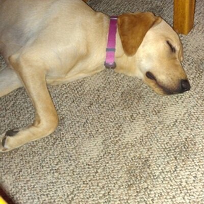 Profile Picture of Wendy Harrington (@mommah1115) on Twitter