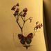 Profile Picture of Marietta Adam (@marietta.adam.501) on Facebook