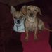 Profile Picture of Donna Cole Clutter (@donna.cole.9659) on Facebook