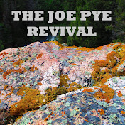 Profile Picture of Joe Pye (@joepye1544) on Youtube