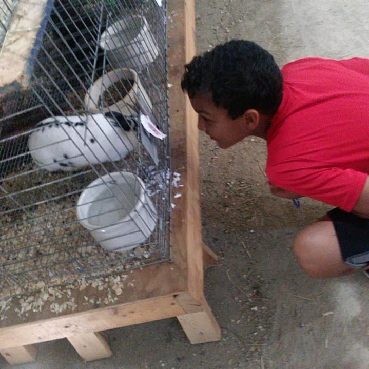 Emoney - Tiktok Profile Picture of Emoney (@ericbaskerville) on Tiktok