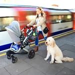 Profile Picture of Joy Marchese (@busy_working_mum) on Instagram