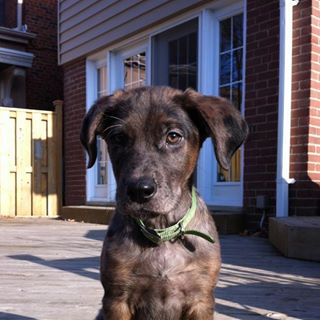 Profile Picture of Ivan Ibbotson (@ivan.ibbotson.7) on Facebook