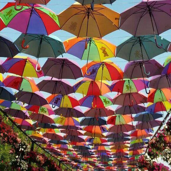 Profile Picture of Tagee Tagee (@taghridkanj) on Poshmark